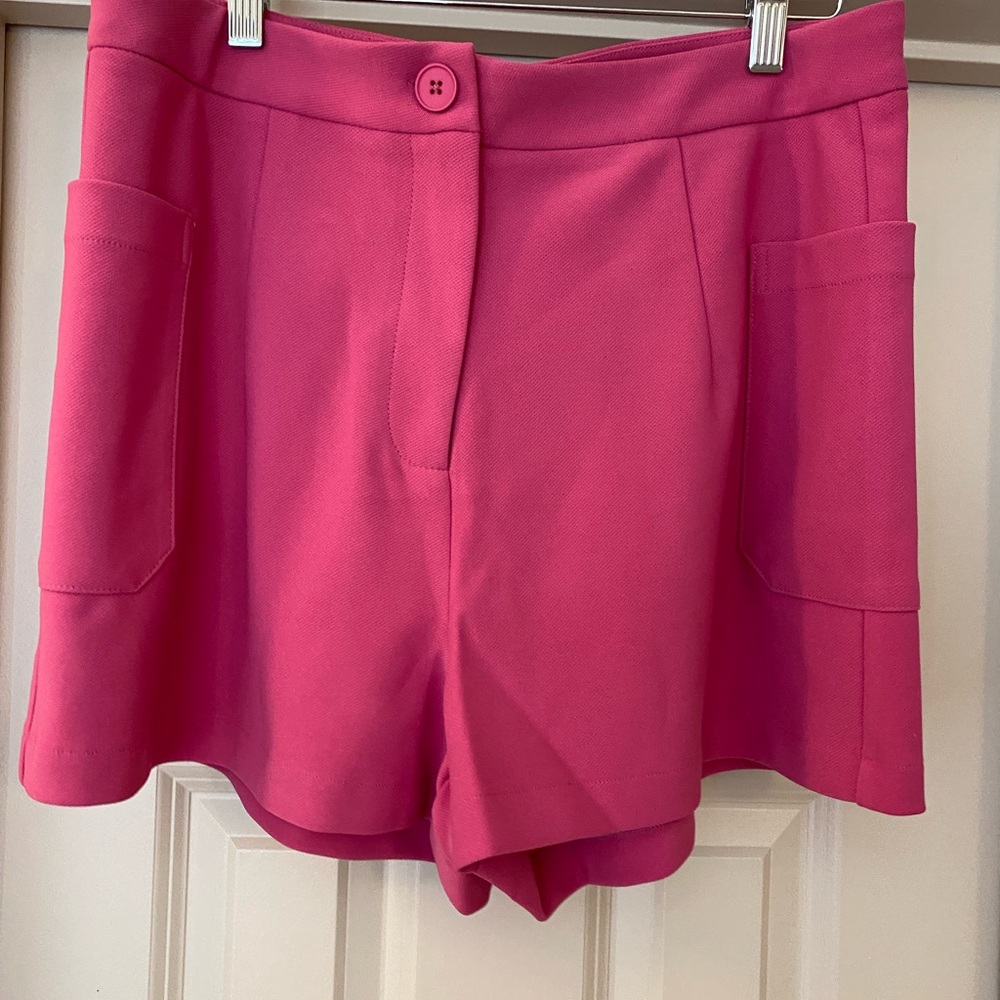 NWT Labelrail x Nashville Tash Barbie Pink Women's Shorts